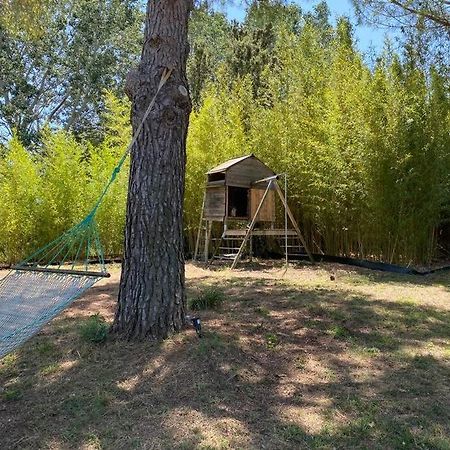 Petit Mas Calme Typique Du Sud ! Villa Valergues Eksteriør billede
